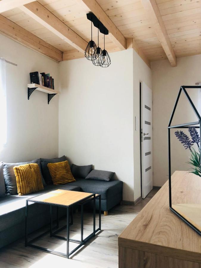 Blizniakowka Villa Brenna Kültér fotó
