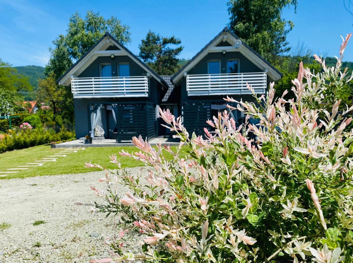 Blizniakowka Villa Brenna Kültér fotó